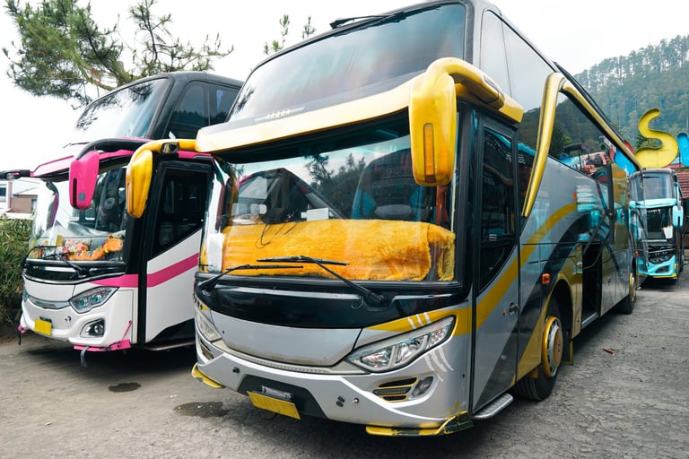 Abyssinia Luxury Coach fleet
